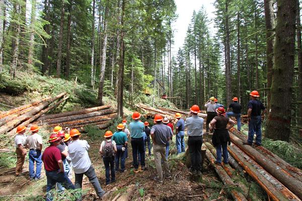 Mapeo Forestal