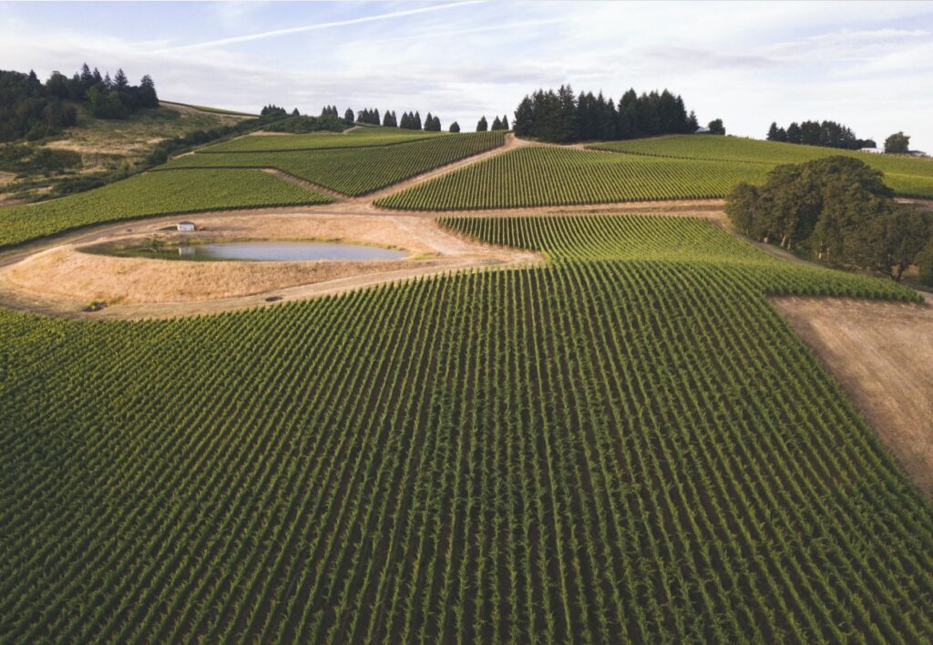 Definición de campo y contorno