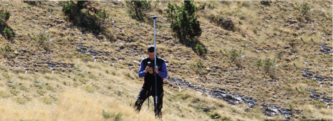 surveyor